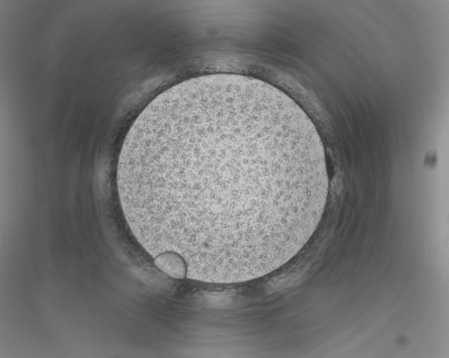 X0000116770306201001281638