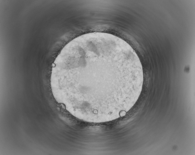 X0000116770307201001281638