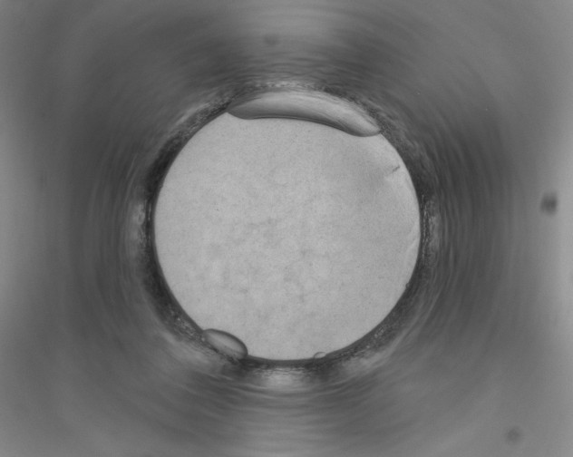 X0000116770308201001281638
