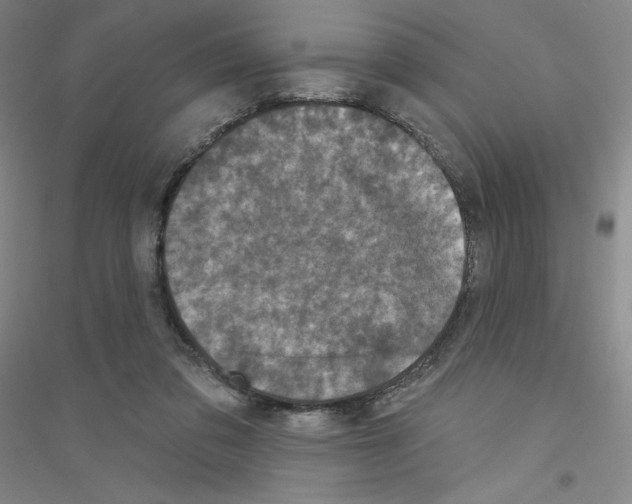 X0000116770309201001281638