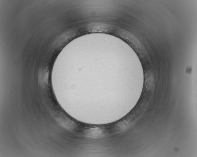 X0000116770310201001281638