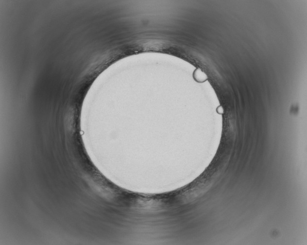 X0000116770311201001281638