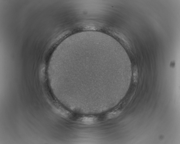 X0000116770314201001281638