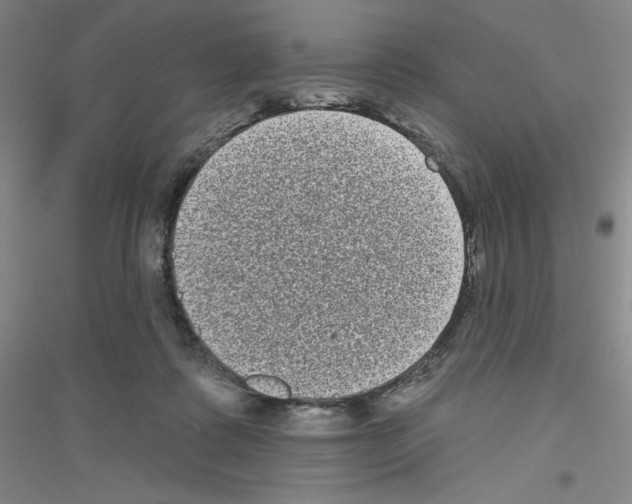 X0000116770315201001281638