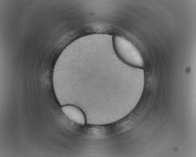 X0000116770317201001281638