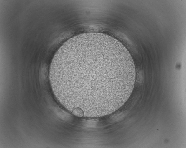 X0000116770318201001281638