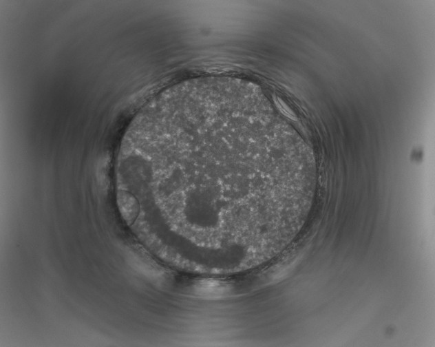 X0000116770319201001281638