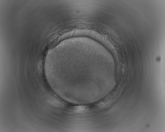 X0000116770320201001281638