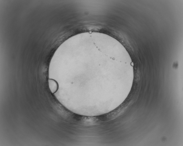 X0000116770321201001281638