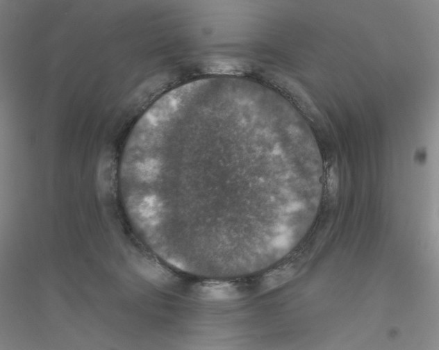 X0000116770322201001281638
