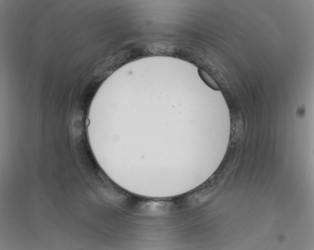 X0000116770323201001281638