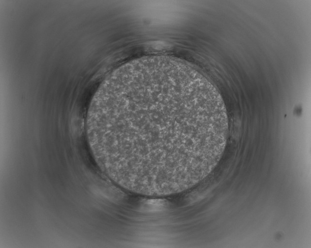 X0000116770324201001281638