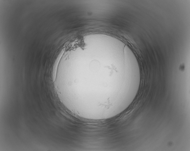 X0000116770325201001281638