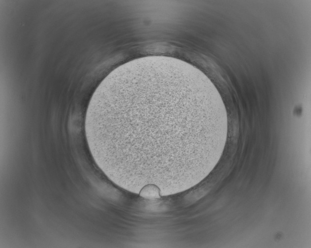 X0000116770326201001281638