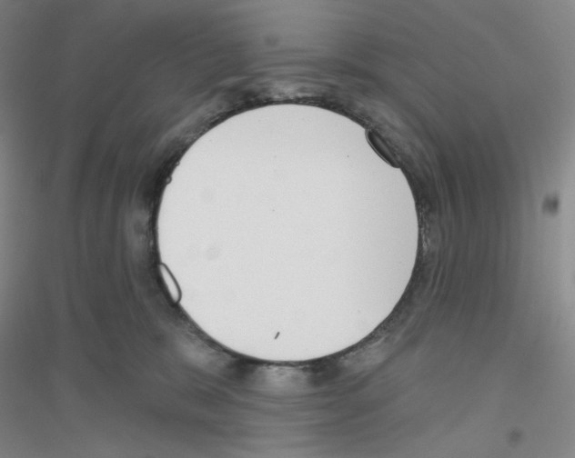X0000116770327201001281638