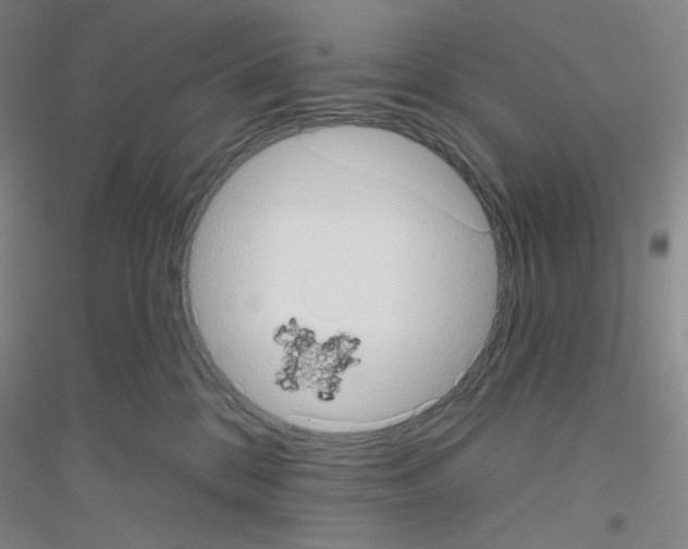 X0000116770328201001281638