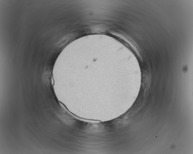 X0000116770329201001281638