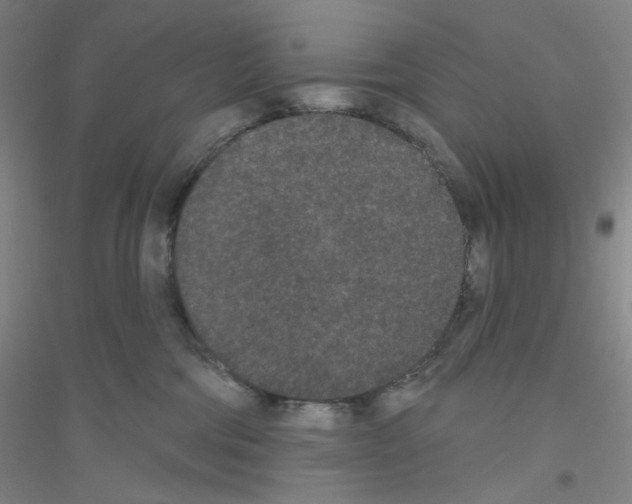 X0000116770330201001281638