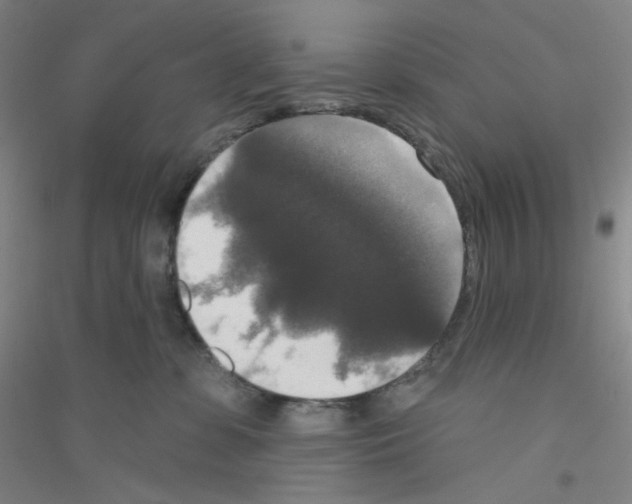 X0000116770331201001281638