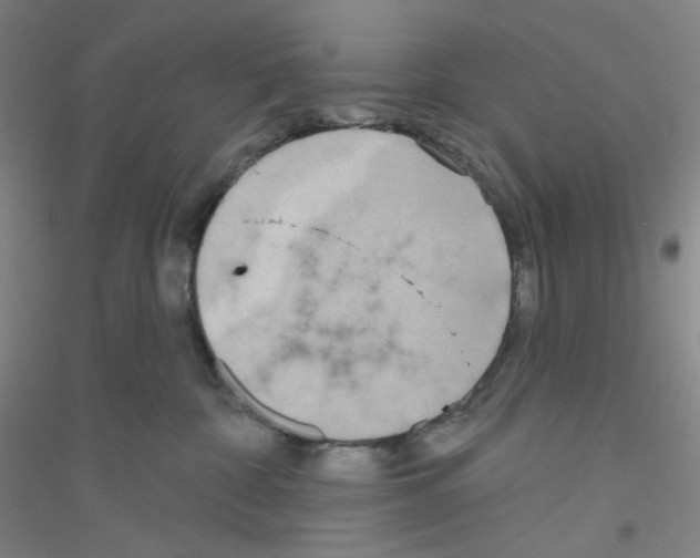 X0000116770332201001281638
