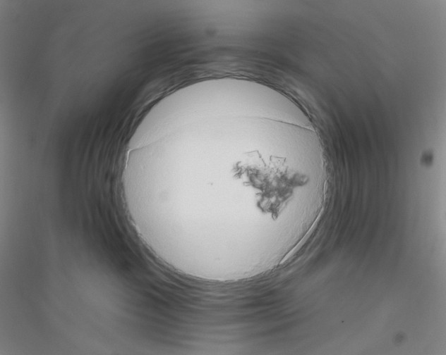 X0000116770333201001281638