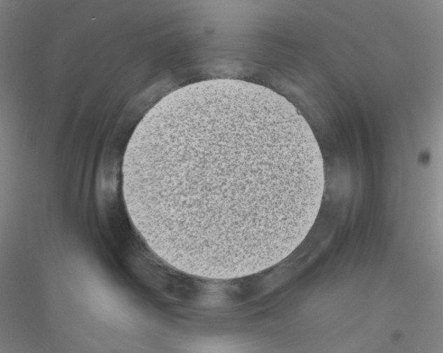 X0000116770334201001281638