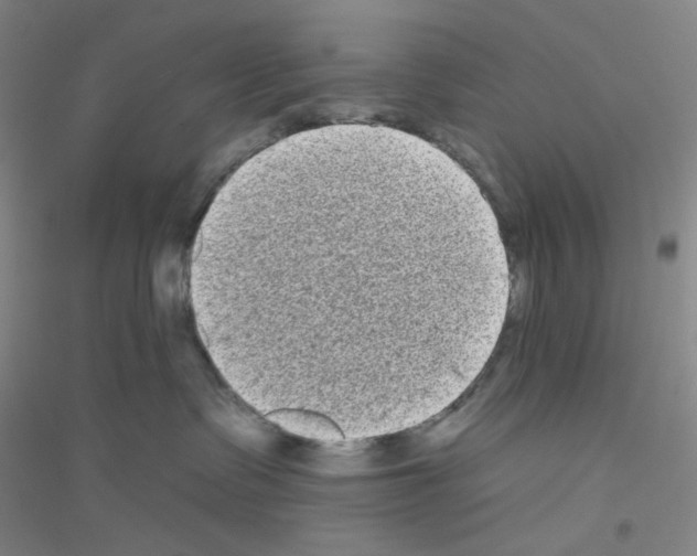 X0000116770335201001281638