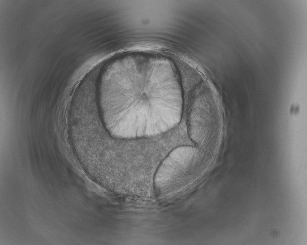 X0000116770337201001281637