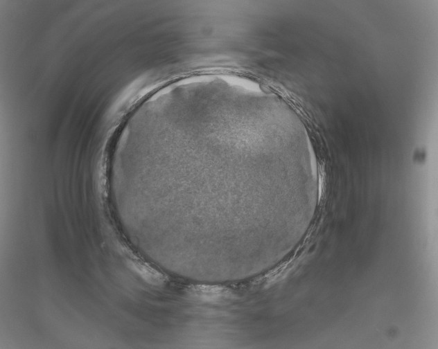 X0000116770339201001281637