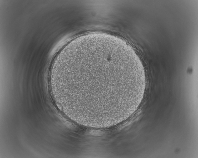 X0000116770341201001281637