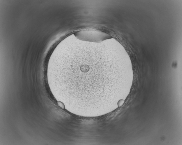 X0000116770342201001281637