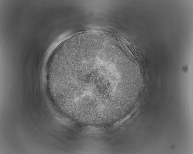 X0000116770343201001281637