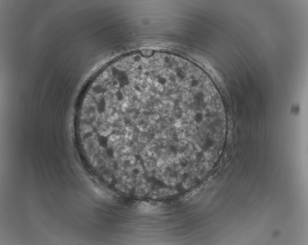 X0000116770346201001281637