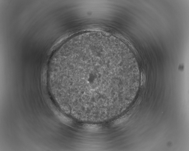 X0000116770349201001281637