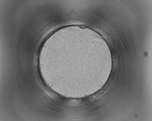 X0000116770350201001281637
