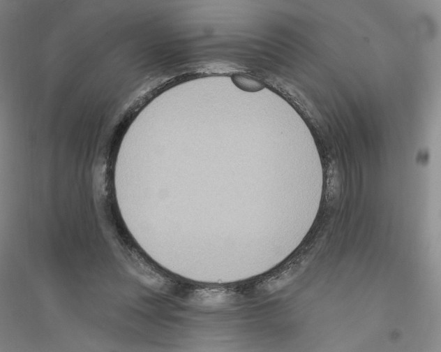X0000116770351201001281637