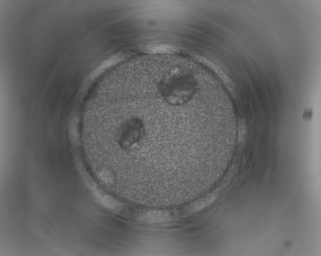 X0000116770353201001281637