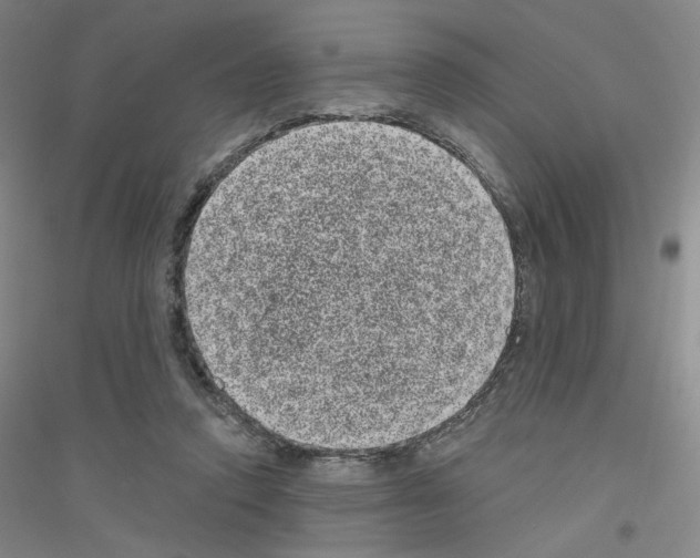 X0000116770354201001281637