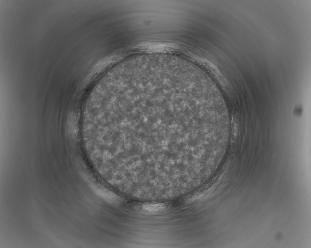 X0000116770357201001281637