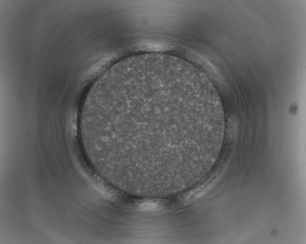 X0000116770358201001281637
