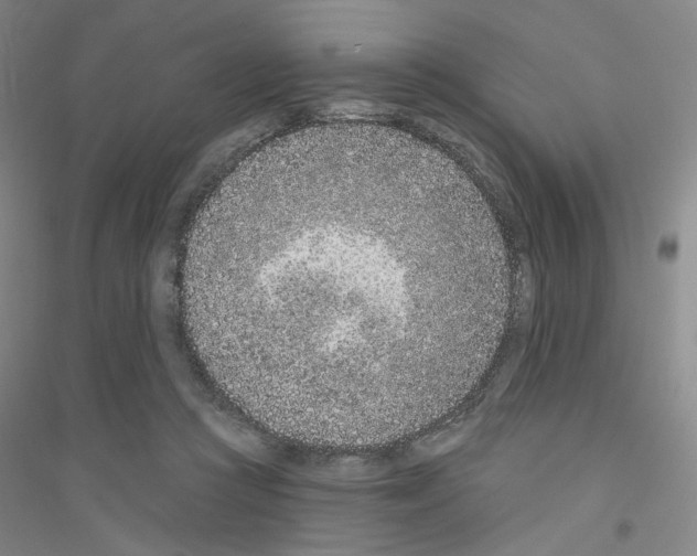 X0000116770361201001281637