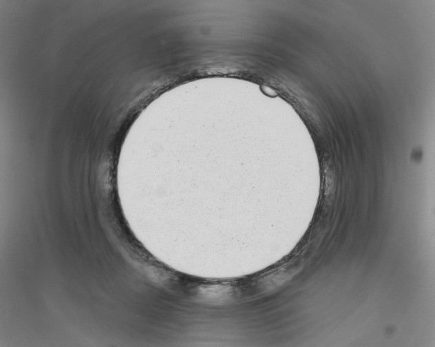 X0000116770362201001281637