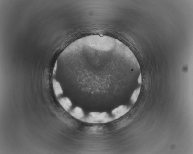 X0000116770366201001281638