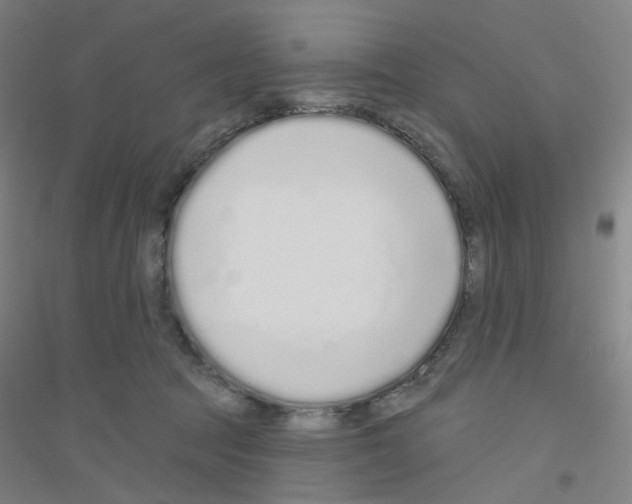 X0000116770369201001281638