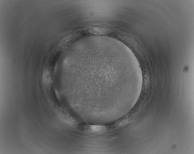 X0000116770371201001281638