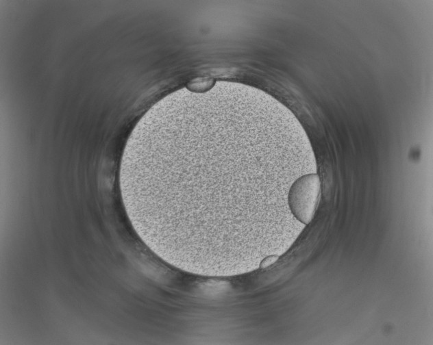 X0000116770374201001281638