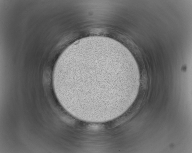 X0000116770375201001281638