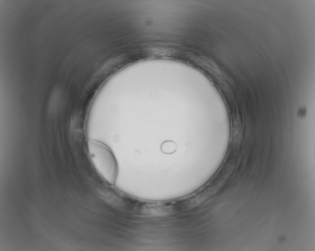 X0000116770377201001281638