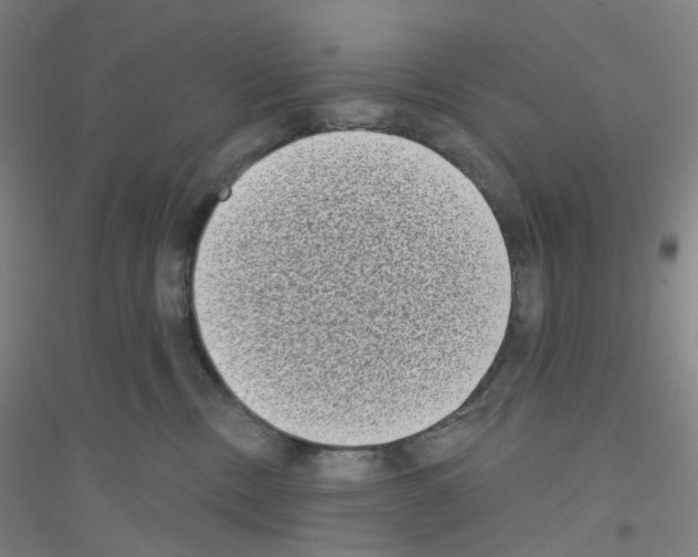 X0000116770378201001281638