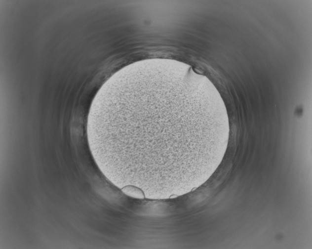 X0000116770379201001281638